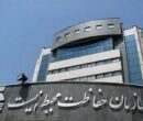 تشریح برنامه‌ها و اقدامات سازمان محیط زیست در حوزه آموزش همگانی