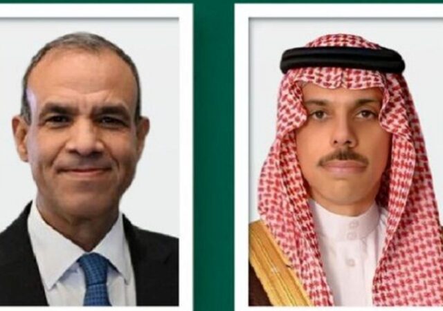 جزئیات گفت‌وگوی وزیران خارجه عربستان و مصر