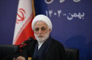 حجت‌الاسلام اژه‌ای: در کنار ملت لبنان می‌ایستیم