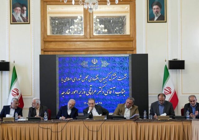 دیدار اعضای کمیسیون اقتصادی و کمیته دیپلماسی اقتصادی مجلس با عراقچی