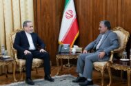  دیدار رئیس دفتر حفاظت منافع ایران در قاهره با عراقچی