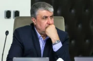 رئیس سازمان انرژی اتمی: دو واحد نیروگاه اتمی بوشهر اکنون در حال احداث هستند