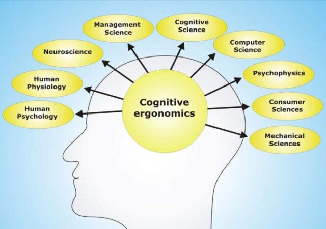 شناخت (Cognition) چیست ؟