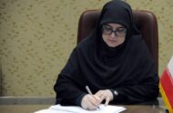 مهاجرانی: میدان و دیپلماسی در کنار هم از ایران دفاع می‌کنند