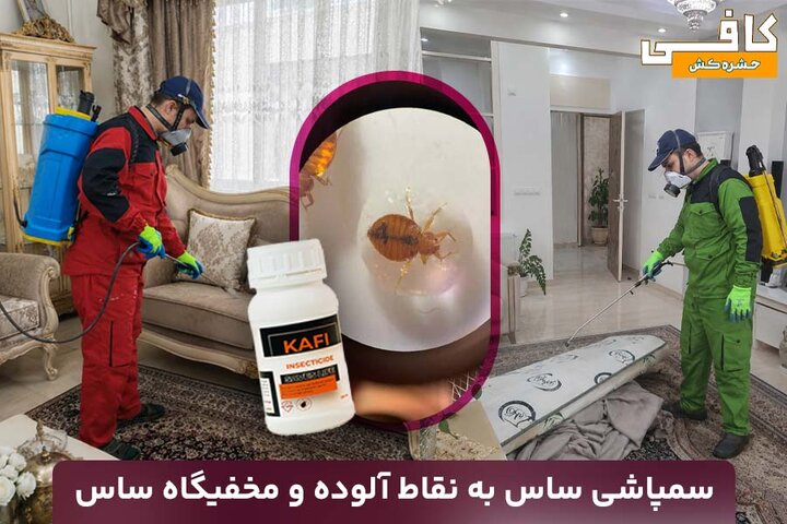 آموزش سمپاشی ساس تختخوابی با سم قوی ساس‌کش بدون تخلیه منزل