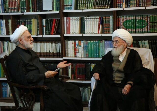 آیت‌الله نوری‌همدانی: برخورد با اخلالگران اقتصاد مطالبه مردم است