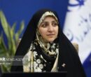 بهروز آذر: شکاف جنسیتی در انتخاب رشتهها قابل توجه است بهروز آذر: شکاف جنسیتی در انتخاب رشتهها قابل توجه است