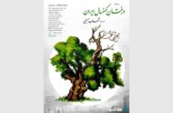 روایت شهاب حسینی از «درختان کهنسال ایران»