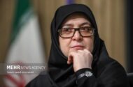 مهاجرانی: برنامه‌ای برای افزایش قیمت بنزین وجود ندارد