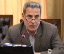 هادیان‌پور: سال گذشته ۳۴۰ هزار تن مرغ مازاد بر نیاز تولید شد