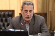 هادیان‌پور: سال گذشته ۳۴۰ هزار تن مرغ مازاد بر نیاز تولید شد