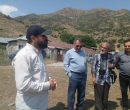 آموزش میدانی دامداران سوادکوه برای کاهش تلفات و افزایش بهرهوری آموزش میدانی دامداران سوادکوه برای کاهش تلفات و افزایش بهرهوری