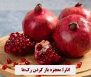 بهترین میوه افزایش گردش خون چیست و چقدر از آن مصرف کنیم؟