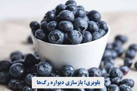 بلوبری؛ بازسازی دیواره رگها بلوبری؛ بازسازی دیواره رگها