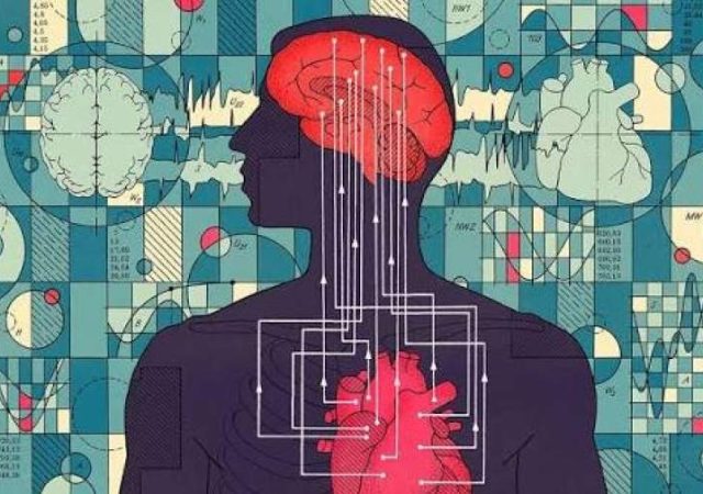 تنهایی مغز و بدن را در وضعیت هشدار قرار می‌دهد