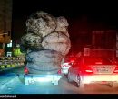 توقیف 900خودروی حمل پسماند/مهلت یکماهه دادستانی به شهرداری تهران