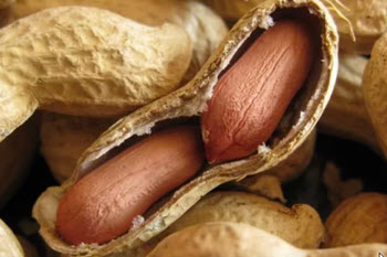 اخبار،اخبار جدید،اخبار روز اخبار،اخبار جدید،اخبار روز