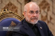 رئیس مجلس انتصاب ذوالقدر به عنوان مشاور سیاسی رهبر انقلاب را تبریک گفت