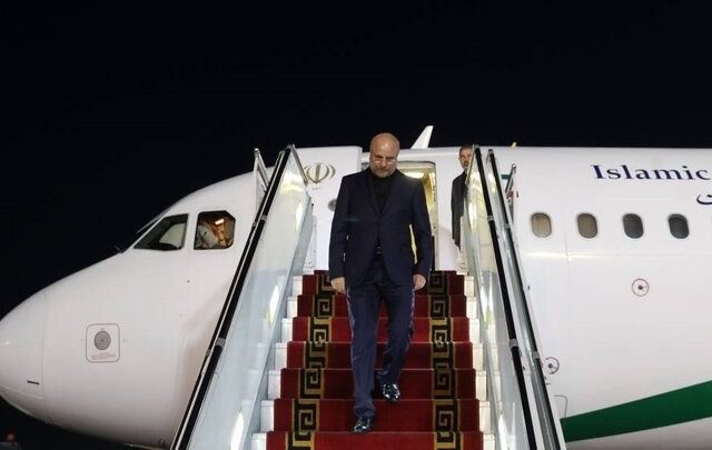 رئیس مجلس و هیئت پارلمانی همراه وارد تهران شدند