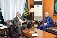 رایزنی وزیرخارجه پاکستان و سفیر ایران؛ تأکید بردیپلماسی جهت ثبات منطقه