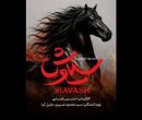 «سیاوش» به هیچ نهادی وابسته نیست؛ هزینه‌ها کاملا شخصی است!