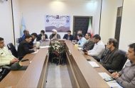 فصل برداشت خرما فرصت تقویت نشاط اجتماعی و کاهش آسیب‌ها در ریگان است