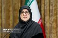 مهاجرانی: سهمیه یارانه‌ای بنزین خانوارها حفظ خواهد شد