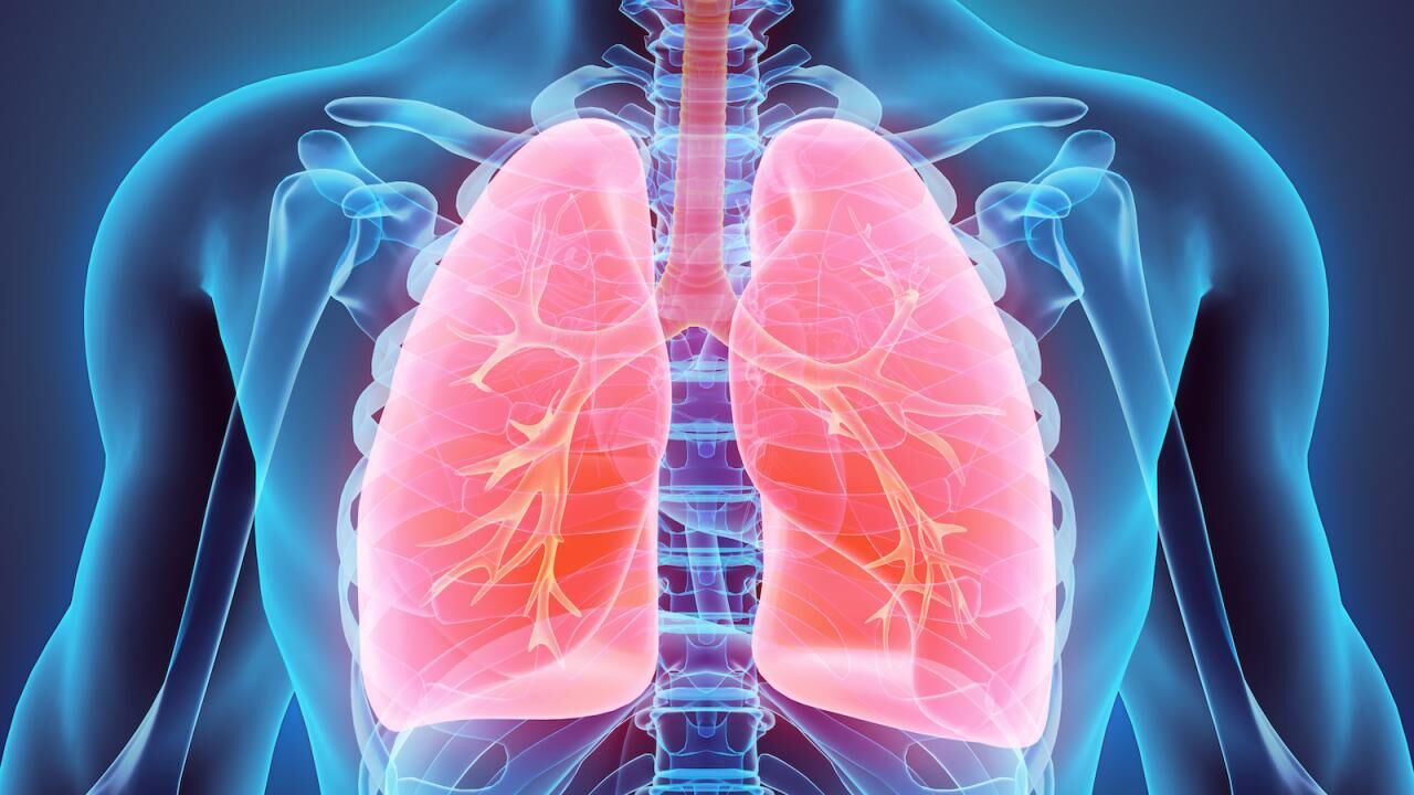 اخبار،اخبار جدید،اخبار روز اخبار،اخبار جدید،اخبار روز