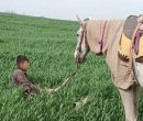 کوبیدن سیلی واقعیت برصورت رویا؛ سینمای مستند از مساله اکران رنج میبرد کوبیدن سیلی واقعیت برصورت رویا؛ سینمای مستند از مساله اکران رنج میبرد