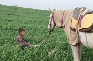 کوبیدن سیلی واقعیت برصورت رویا؛ سینمای مستند از مساله اکران رنج می‌برد
