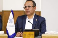 کیانی: موافقان قانون تسهیل «امضاهای طلایی» را حذف کنند
