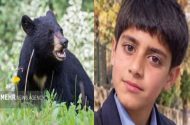 تعارض حیات وحش و انسان ها در جنوب کرمان؛ یک نوجوان توسط خرس کشته شد