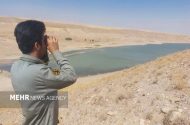 دریکوند: پایش آنفلوآنزای فوق حاد پرندگان در فاروج آغاز شد