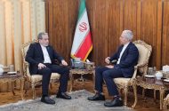 دیدار سرکنسول ایران در گوانجو با عراقچی