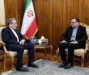  دیدار سفیر ایران نزد سازمان همکاری اسلامی با عراقچی