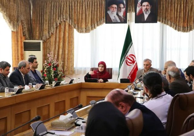 رمضانخواه: دولت به دنبال جانشینی بازآفرینی به‌جای بازسازی است
