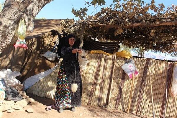 عشایر میان کوچ و بروکراسی؛ قوانین دست‌وپاگیر بر سر راه زندگی