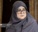 مهاجرانی: آنچه انجام شده تمام توان دولت است