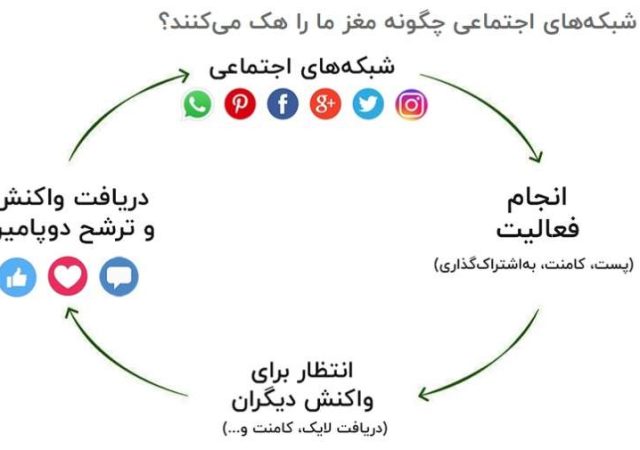 نقش هورمون‌ها در استفاده از شبکه‌های اجتماعی؛ دوپامین، کورتیزول و خواب