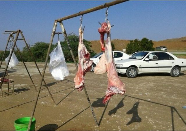 پلمب ۱۱ واحد کشتار و عرضه غیرمجاز دام و طیور در صحنه