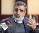 کمالوندی: ایران گزینه‌های زیادی برای دفاع از خود دارد