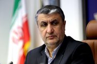 اسلامی: سبد رادیوداروهای کشور به ۷۸ محصول رسید